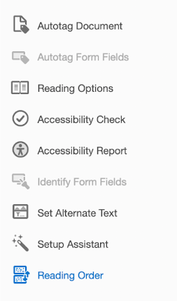 right pane of Word tool options, with reading order highlighted