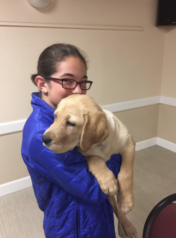 Tiny Emilia at age 10, first guide dog meeting ever, just overwhelmed by the cuteness of all the puppies. 